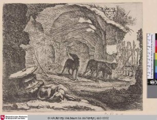 [Hunde in einer Ruine; Dogs in a Ruin]