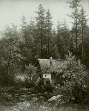 Mühle am Walde : Leonhardi