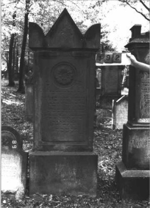 Grabstein 192 (Index: 99609828) Material: Sandstein Zustand: verwittert Maße HxBxT: 191x71x26 cm Beschreibung: Stele, spitzer Giebel, Seitenakrotere, Schriftfeld rechteckig begrenzt, Sockel Symbolik: Rosette: Grabstein 192
