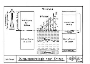 Düngungsstrategie nach Entzug