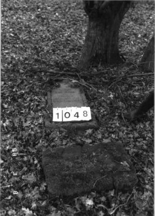 Grabstein 1048