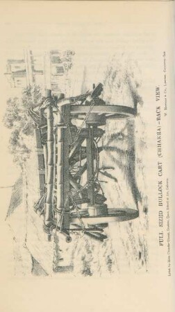 Full sized bullock cart (Chhakra) - back view