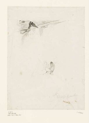 Les Pigeons, Blatt 7 der Folge "Histoires Naturelles"
