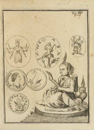 Abbildung: Tab. XXIIV.