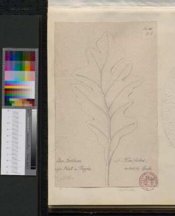 Namensinschrift von Herzogin Dorothea Ursula von Württemberg