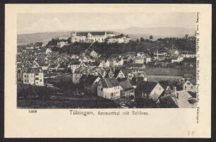 33, Tübingen, Ammerthal mit Schloss.