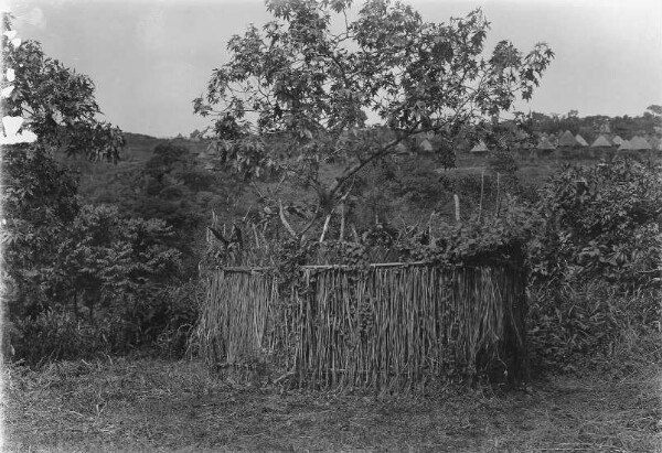 terrain clôturé