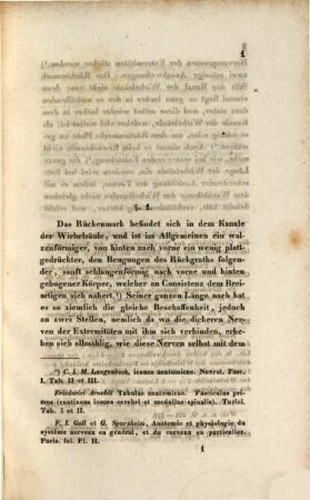 Das Rückenmark des Menschen mit den Ursprüngen seiner Nerven