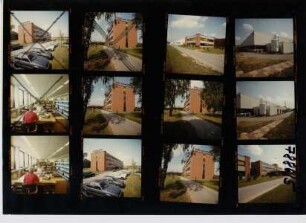 Koch & Sterzel, 1986