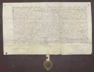 Anna Elsässer, Einwohnerin zu Handschuhsheim, reversiert gegenüber dem Deutschen Orden wegen mehrerer Morgen Weingärten daselbst unter Inserierung des Erblehnbriefs des Deutschmeisters Walter von Kronberg (4. Mai 1534).