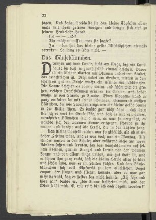 Das Gänseblümchen.