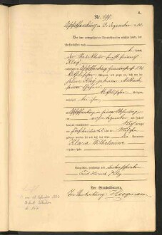 Standesamtsbuch der Stadt Aschaffenburg: Geburten 365/1900 - 184/1901