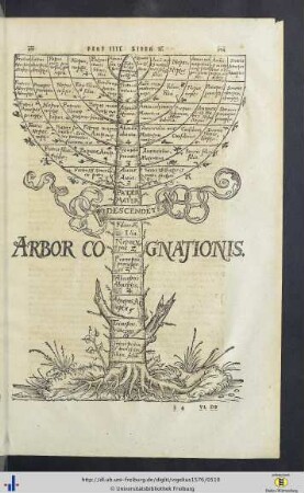 Arbor Cognationis.
