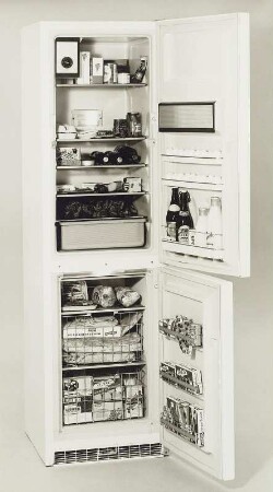 Philips Kühl-Gefrierschrank HA 2160