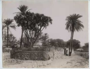 unbekanntes Dorf, Ägypten: Ansicht