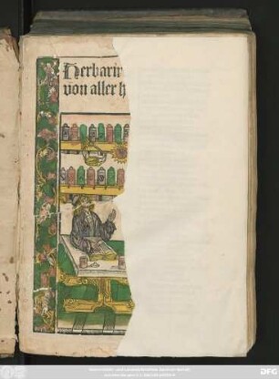 Herbarius zů teütsch vnd || von aller hand Kreüttern.||