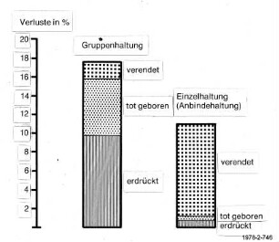 Verluste bei Gruppenhaltung oder Einzelhaltung