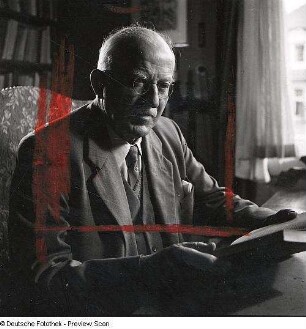 Portraitserie Hermann Staudinger