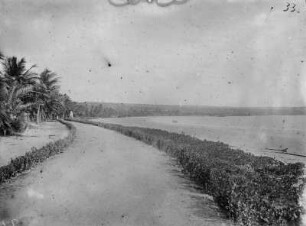 Strand bei Lindi (Deutsch-Ostafrikaexpedition 1906-1907)