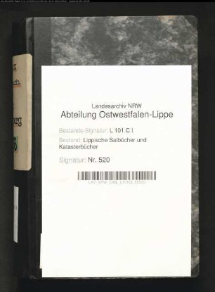 Salbuch der Stadt Blomberg von 1863, Bd. 3