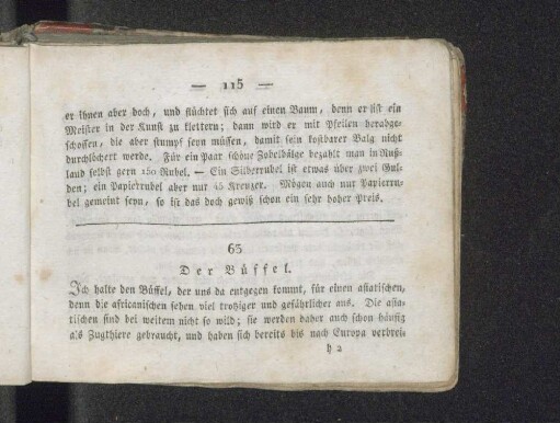 63. Der Büffel.