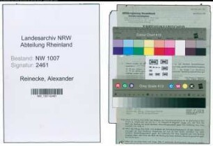 Entnazifizierung Alexander Reinecke , geb. 11.08.1892 (Kaufm.Direktor)
