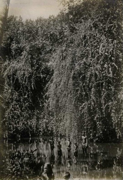 "Sur la colline, les enfants dans l'eau, Nauru"