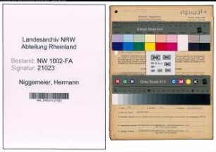 Entnazifizierung Hermann Niggemeier, geb. 01.06.1884 (Kaufmann)
