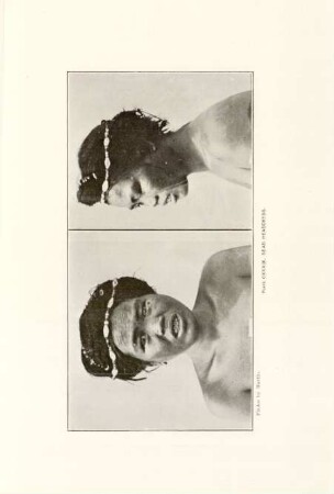 Plate CXXXIX. Bead headdress