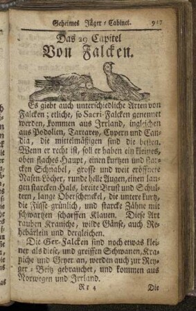 29. Von Falcken
