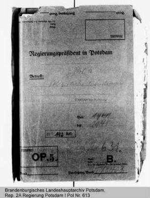 Polizeiliche Fahndung