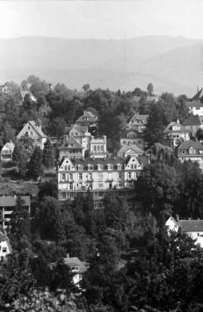 Baden-Baden: Bergschloss (aufgenommen mit Teleobjektiv)