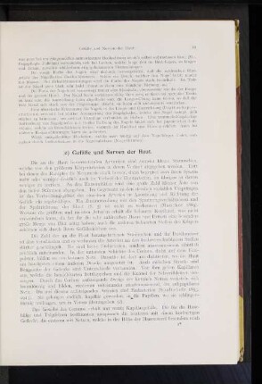 e) Gefäße und Nerven der Haut.
