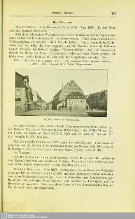 Die Brunnen