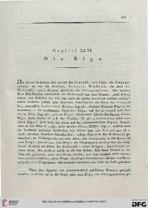 Capitel XLVI: Die Biga