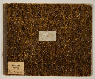 Skizzenbuch 1859. Lauenburg. Holstein. Jütland.