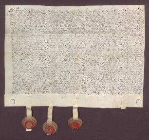 Instrumentum cautionis desGrafen Marquard Wilhelm von Schönborn.