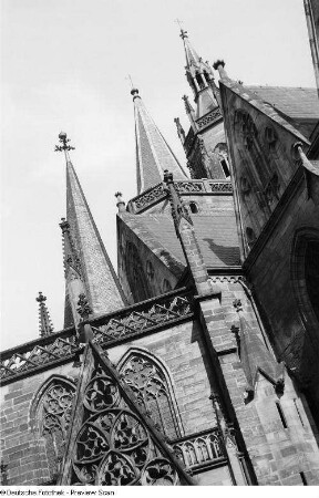 Dom St. Marien
