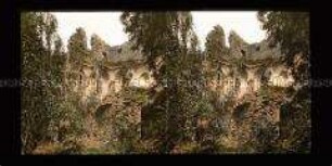 Burgruine Stauf