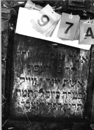 Grabstein 97 (Index: 99792174) Material: Sandstein, Marmorplatte Zustand: leicht verwittert, liegende Stele Maße HxBxT: 105x61x13 cm Beschreibung: ädikulaartige Stele mit Pfeilern, eingezogener Rundbogenabschluß, Schriftplatte Symbolik: gestelztes Rundbogenfries, Blüten: Grabstein 97A