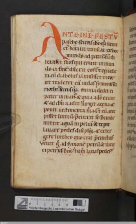 Pascha et Pentecostes