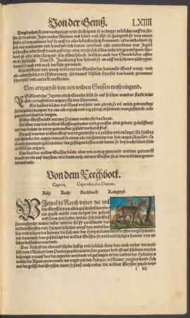 Von dem Reechbock. Caprea, Capreolus, seu Dorcas. Reh/ Rech/ Rechbock/ Rechgeyß.
