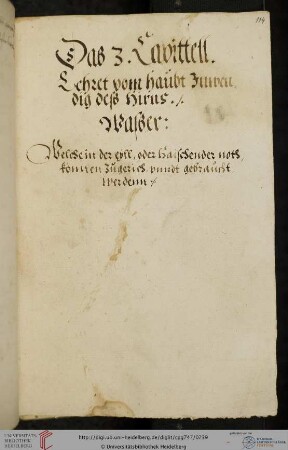 Teil V: Medizinische Rezeptsammlung (Fragment)
