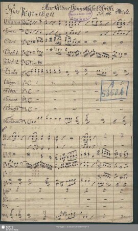 Der Herr ist König des freue sich das Erdreich - Mus.3464-E-504 : V (4), Coro, orch, bc