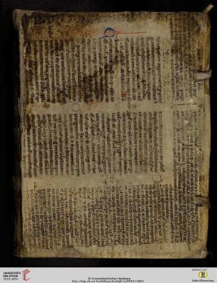 Tractatus de peccatis ; Tractatus de gratia (Kollegmitschriften)