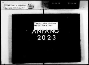 Aufsicht über Presse und Druckschriften