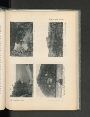 Krämer, Palau, Tafel 6.