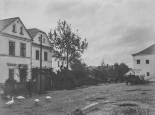 Dorfstraße : Blick auf eine Dorfstraße mit freilaufenden Gänsen