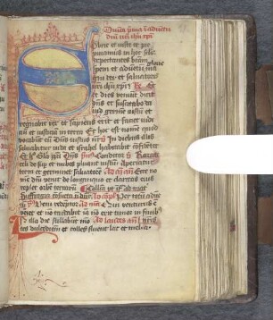 [Brevier und Ordinarius]