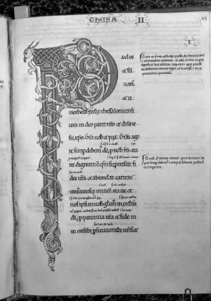 Glossar zu den Paulusbriefen / S. Pauli Epistolæ, cum glossa — Initial P, Folio fol. 165 r